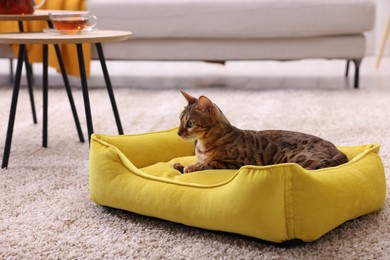 Photo of Cute Bengal cat lying on pet bed at home