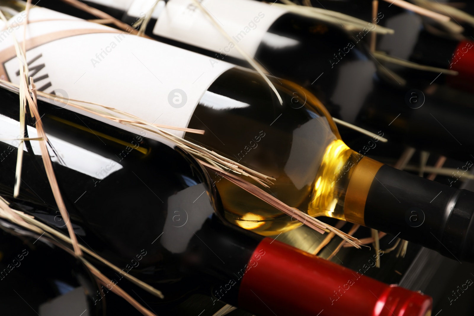 Photo of Bottles with delicious wine on shelf, closeup. Professional sommelier