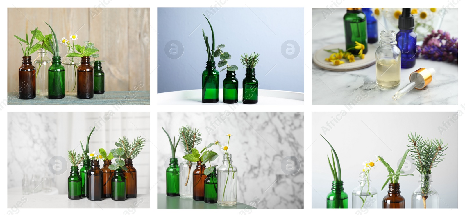 Image of Collage of different photos with essential oils and plants. Banner design