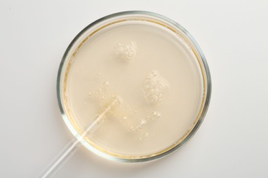 Photo of Petri dish with color liquid sample and pipette on white background, top view