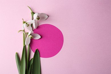 Beautiful snowdrops and paper card on pink background, flat lay. Space for text