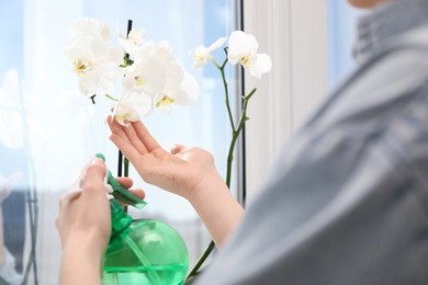 Photo of Woman spraying blooming orchid flowers with water near window, closeup