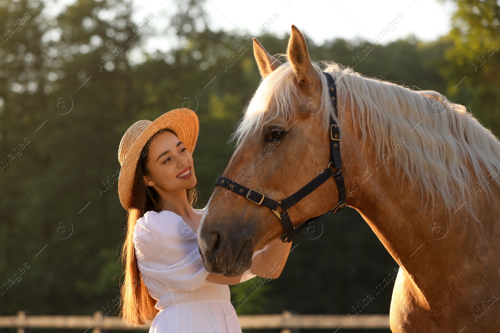 Photo of Woman with adorable horse outdoors. Lovely domesticated pet