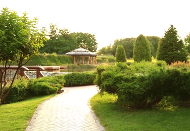 Photo of Picturesque landscape with brick path on sunny day. Gardening idea