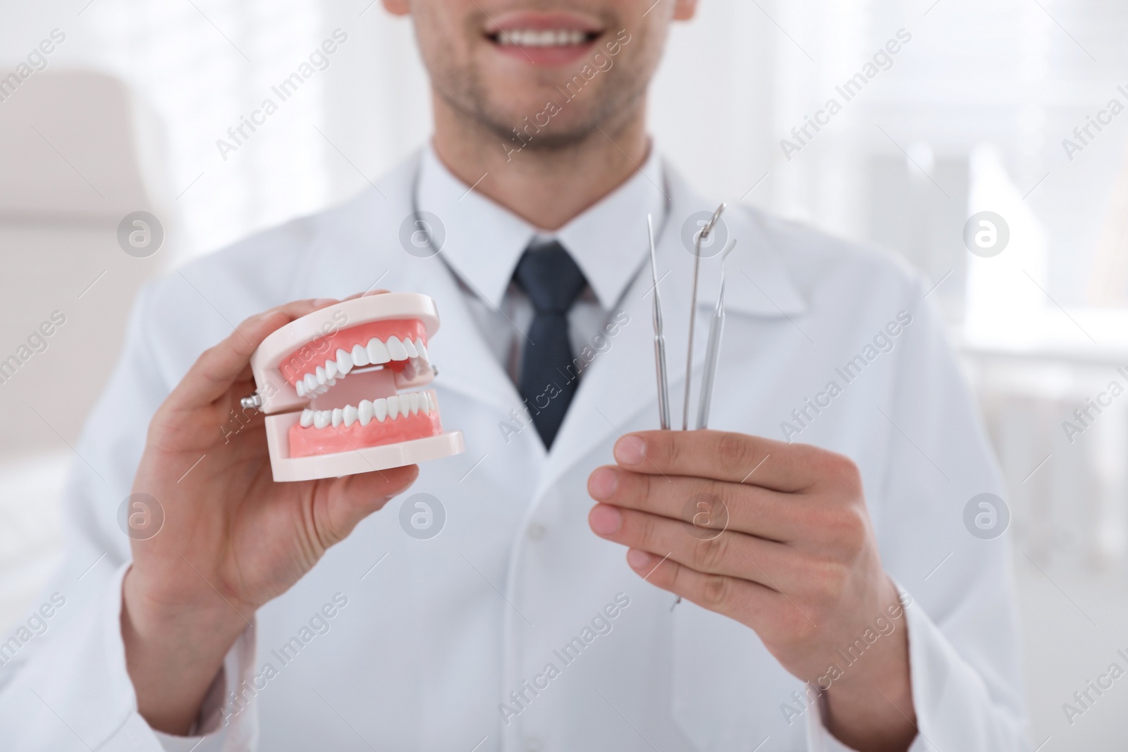 Photo of Dentist holding jaws model and tools in clinic, closeup