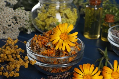 Bowl and many different herbs on blue wooden table