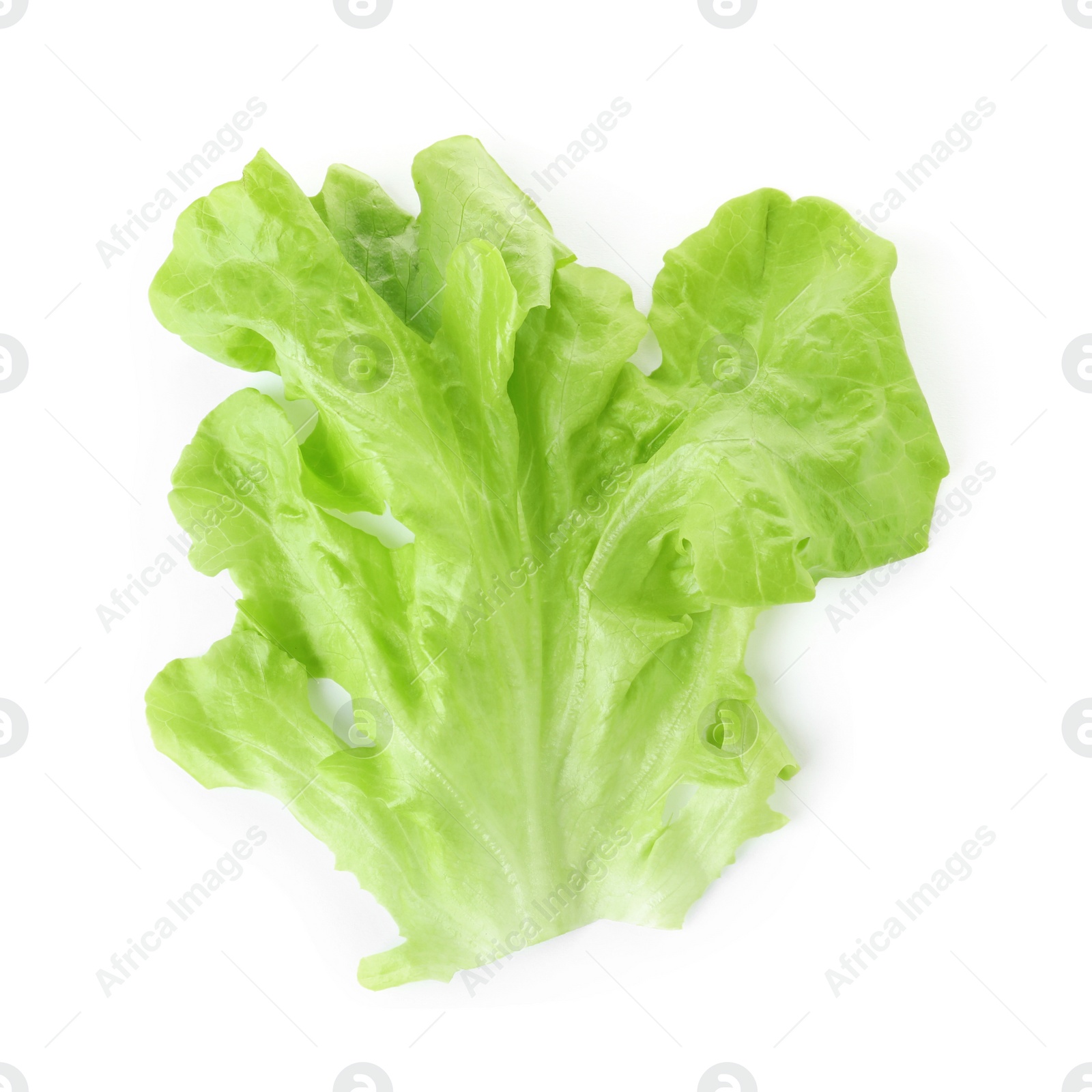 Photo of Leaf of fresh lettuce for burger isolated on white, top view