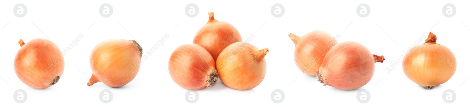 Image of Set of yellow onion bulbs on white background. Banner design