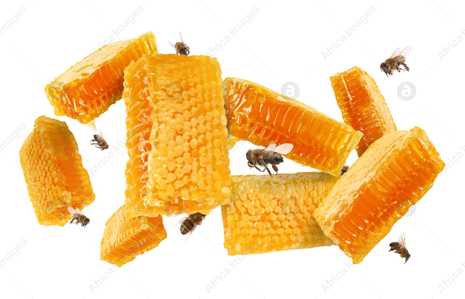 Image of Pieces of honeycomb in air and bees flying on white background