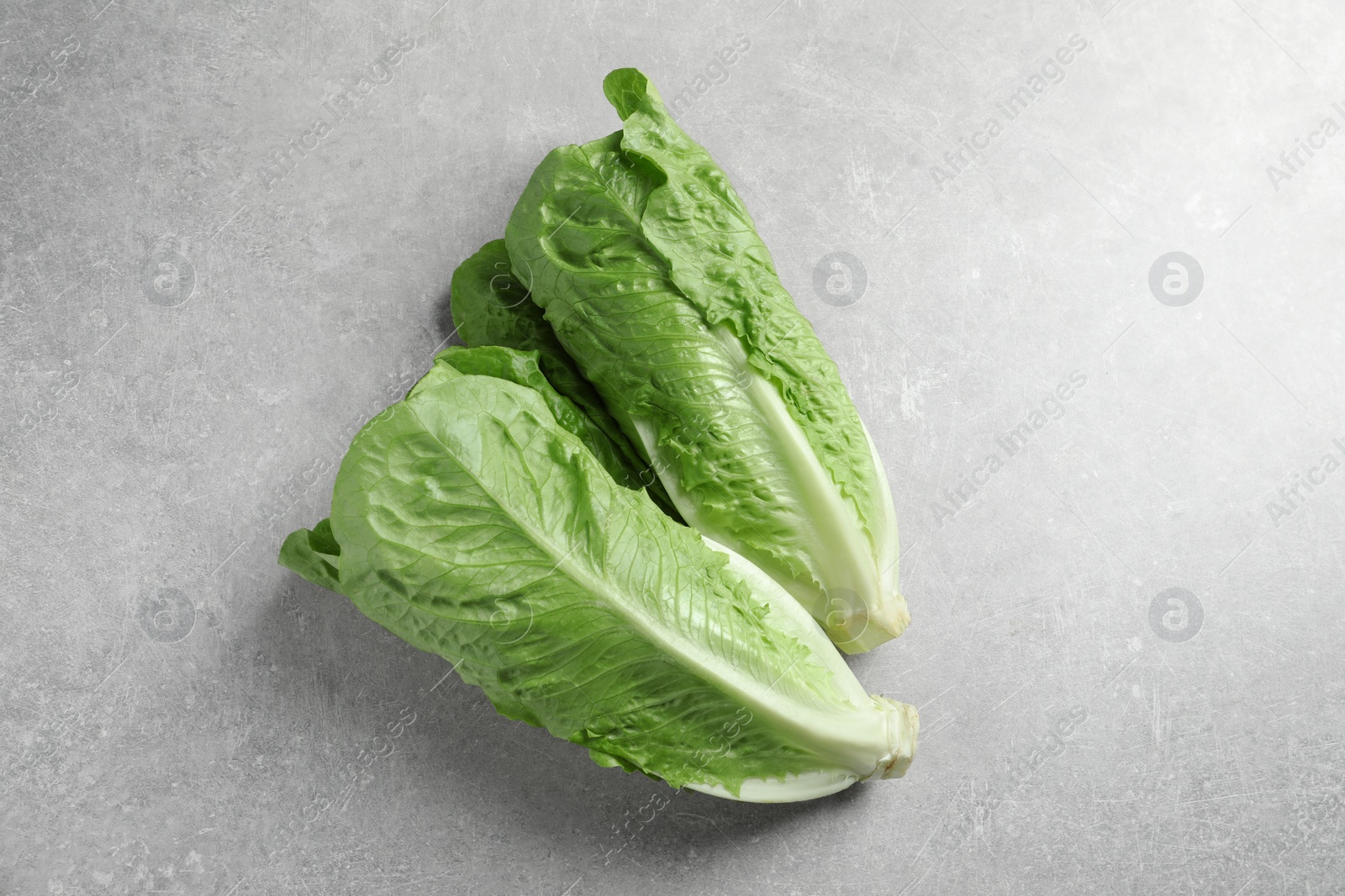 Photo of Fresh green romaine lettuces on light grey table, top view