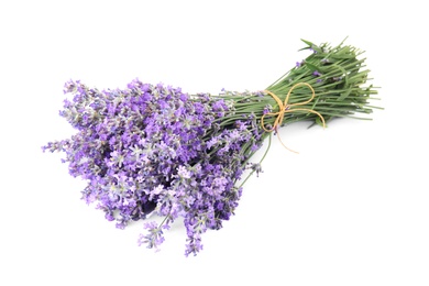 Photo of Beautiful tender lavender flowers on white background