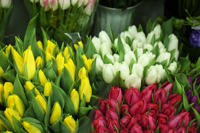 Photo of Fresh bouquets of beautiful tulip flowers, closeup