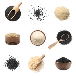 Image of Set with different sesame seeds on white background