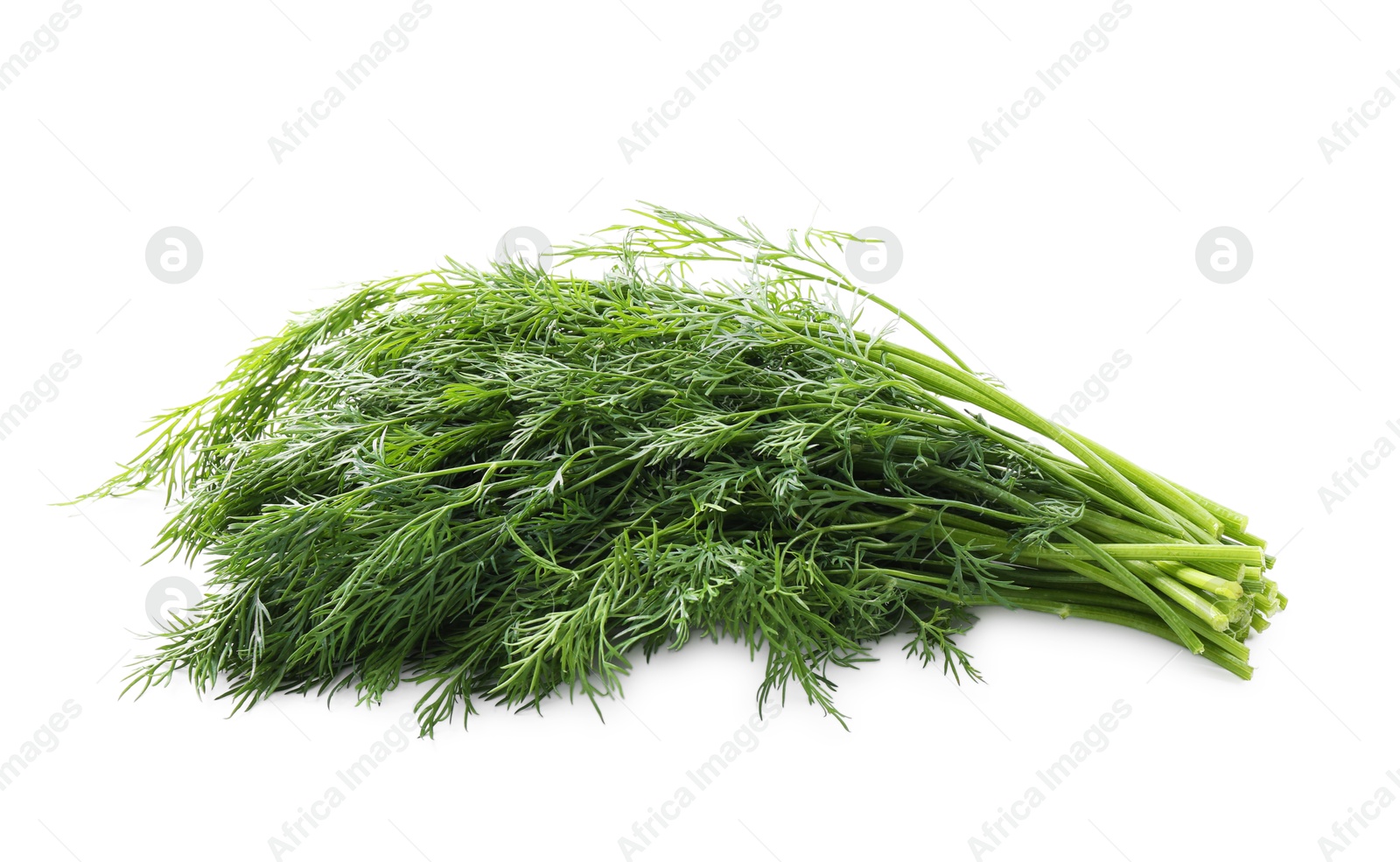 Photo of Fresh green dill branches isolated on white, above view