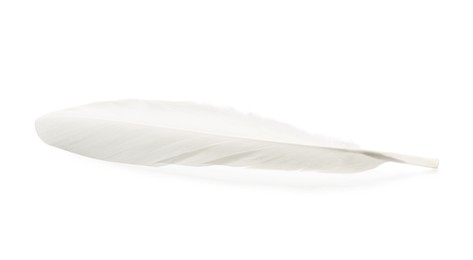 Photo of One fluffy beautiful feather isolated on white