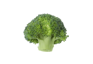 Photo of Piece of fresh green broccoli isolated on white