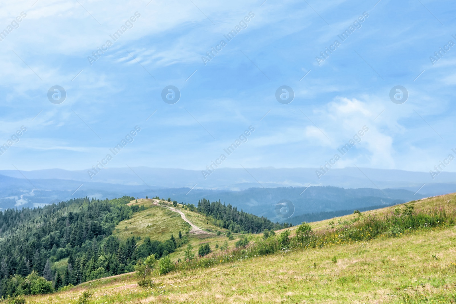 Photo of Picturesque landscape with mountain forest