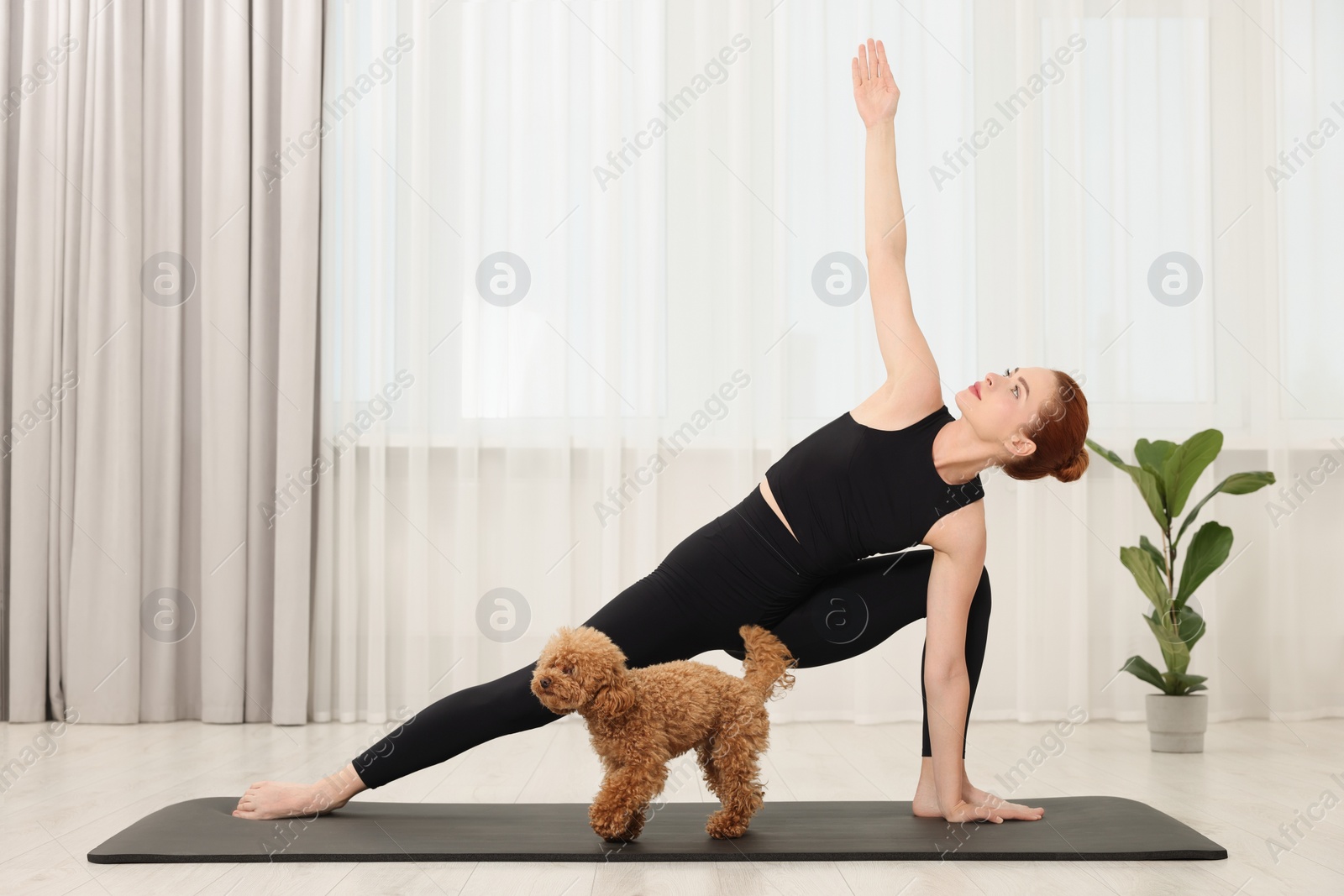 Photo of Young woman practicing yoga on mat with her cute dog indoors