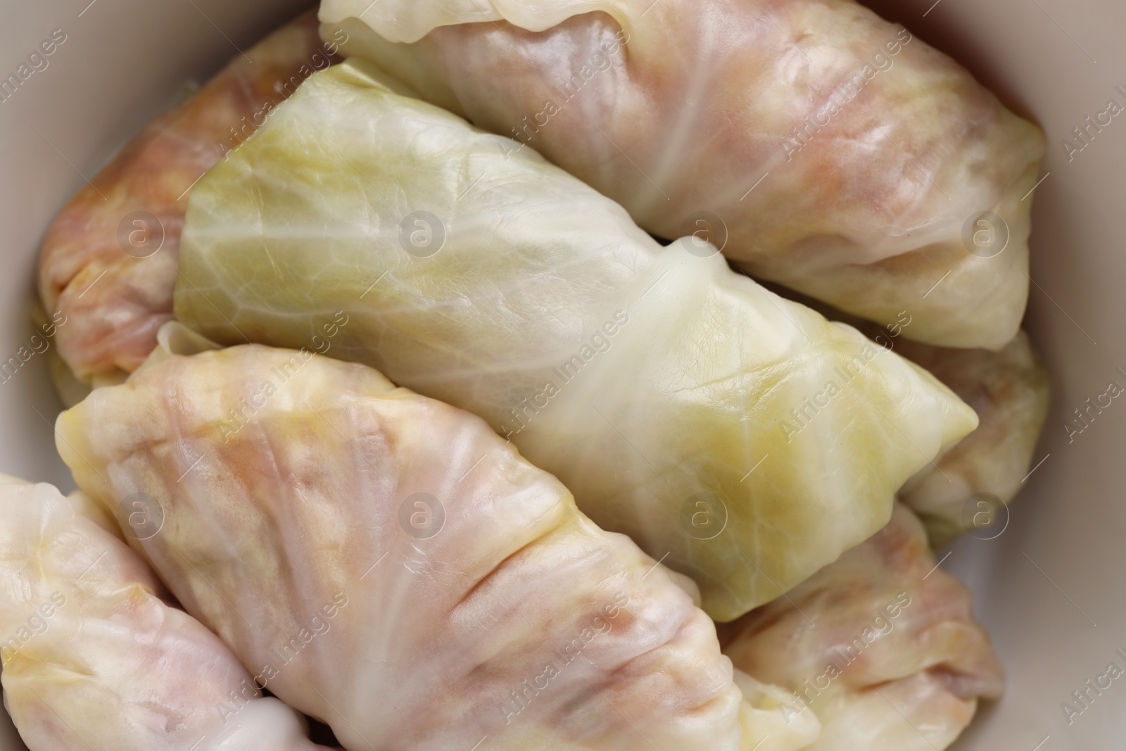 Photo of Uncooked stuffed cabbage rolls in pot, top view