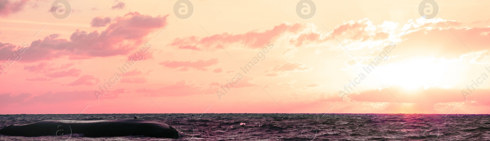 Image of Beautiful panorama of sky with clouds over sea at sunset. Banner design