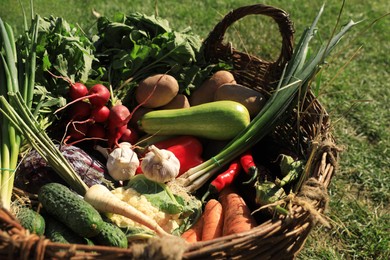 Photo of Different fresh ripe vegetables in wicker basket on grass, closeup