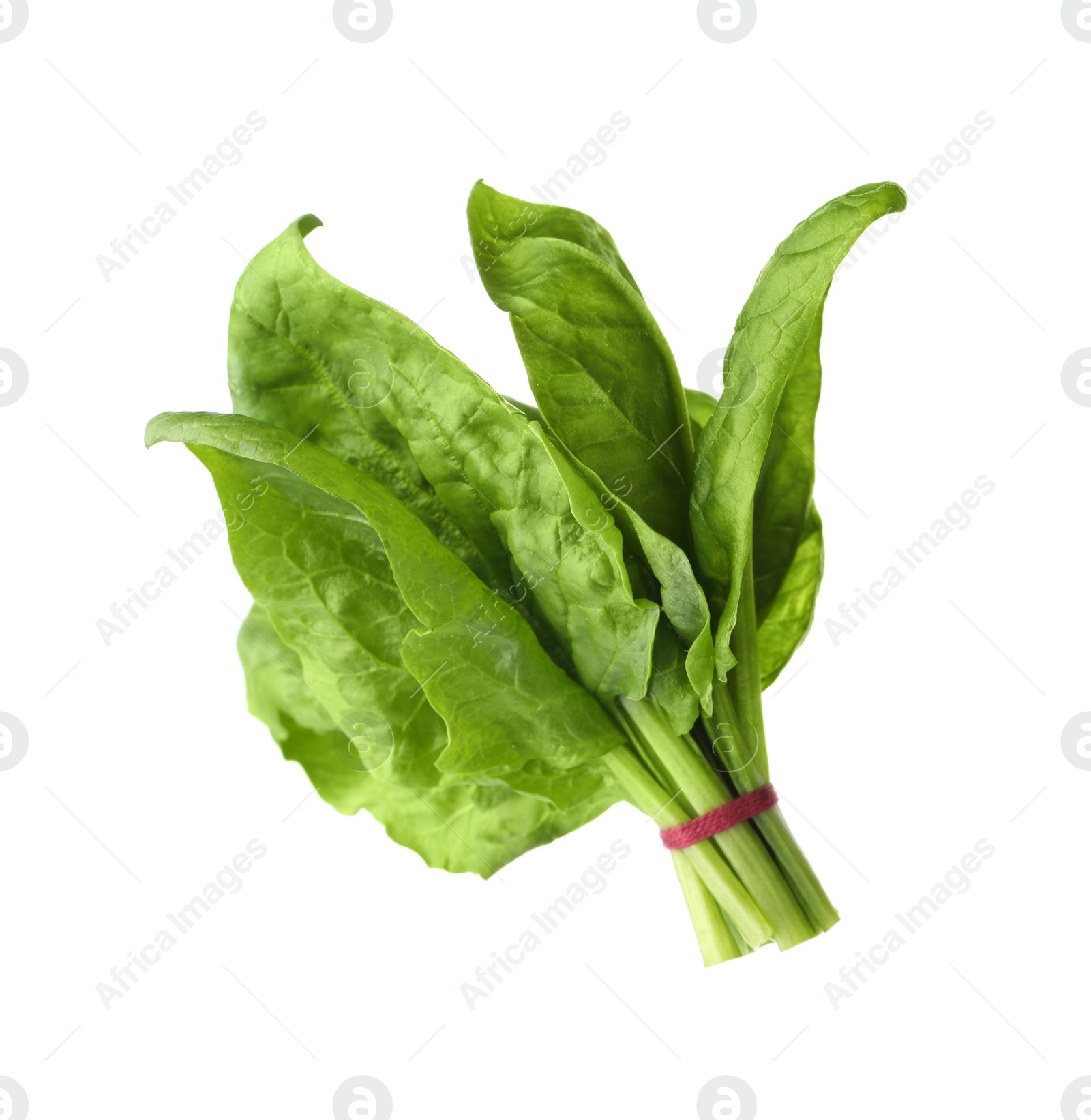 Photo of Bundle of fresh spinach isolated on white