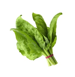 Bundle of fresh spinach isolated on white