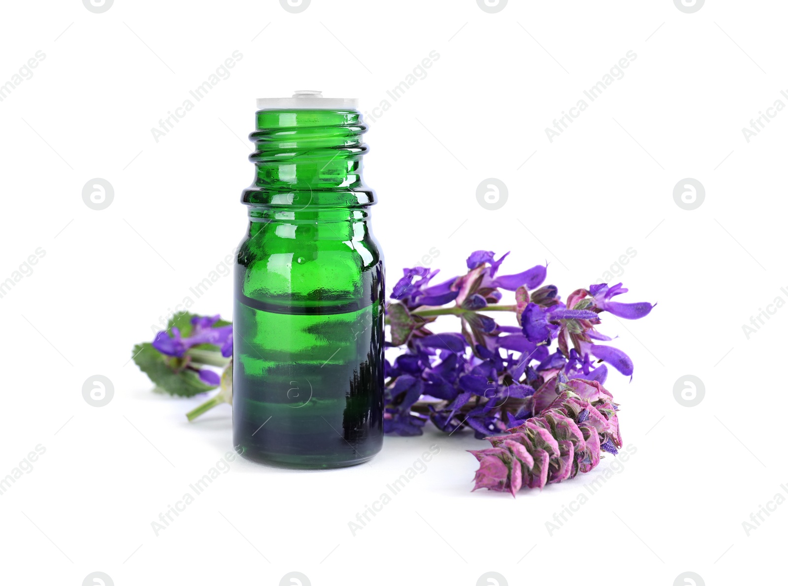 Photo of Bottle of herbal essential oil and sage flowers isolated on white