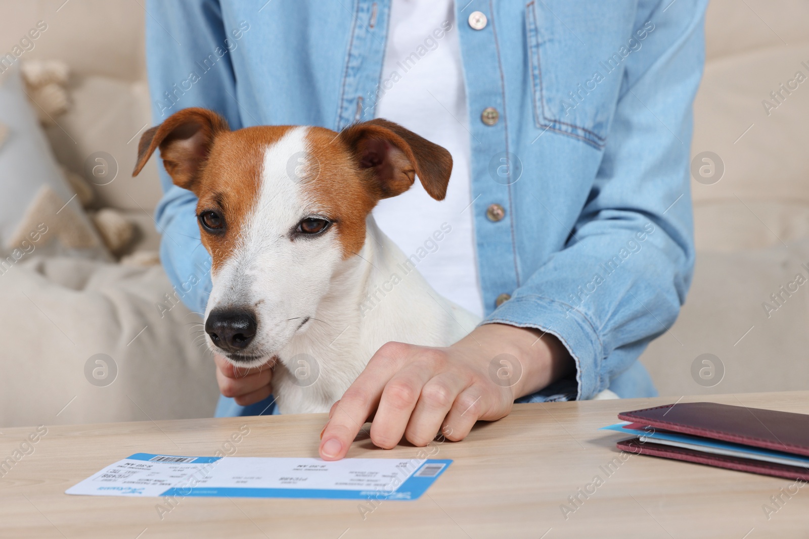 Photo of Woman with passport and dog at wooden table indoors. Travel with pet concept