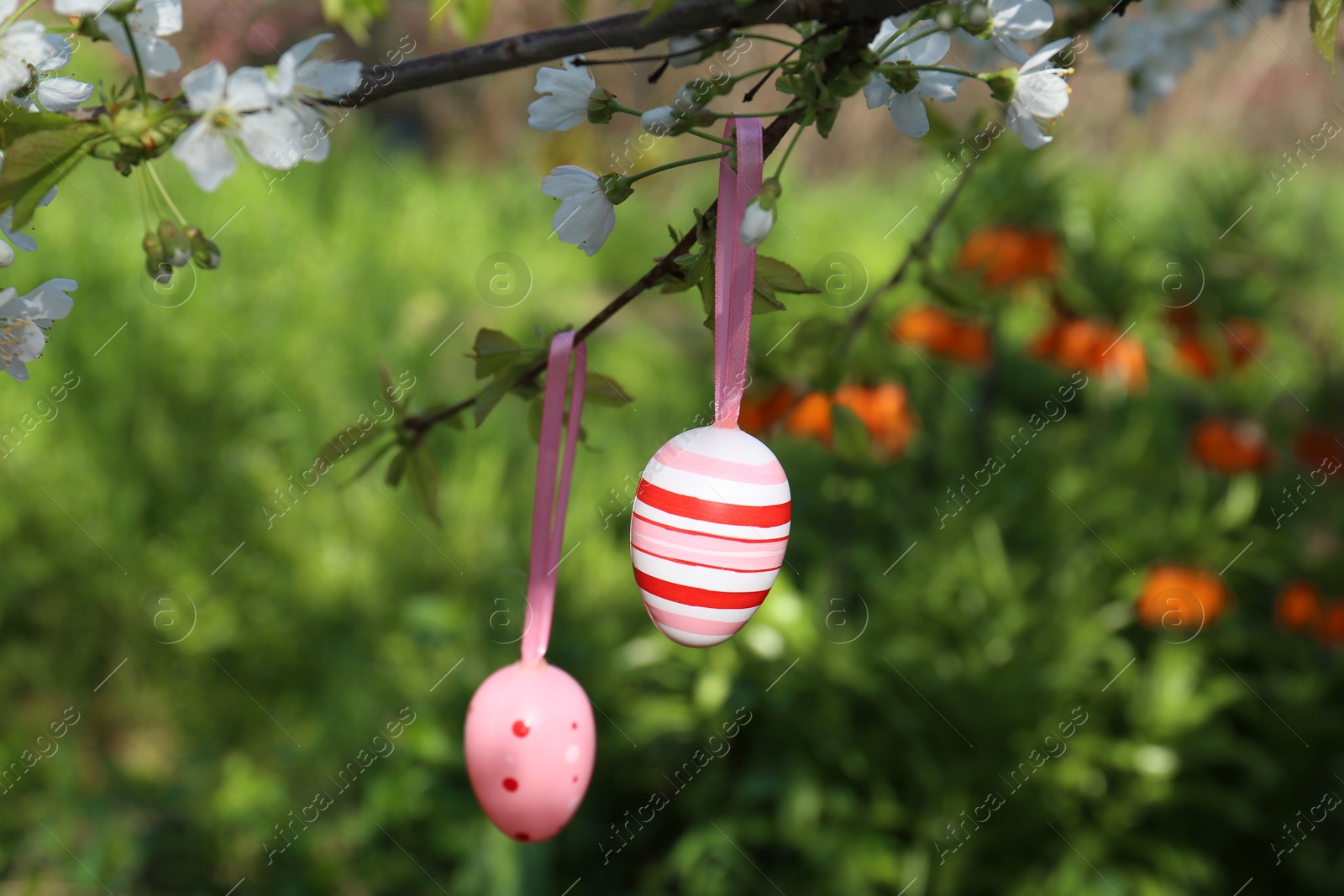 Photo of Beautifully painted Easter eggs hanging on blooming tree outdoors, closeup