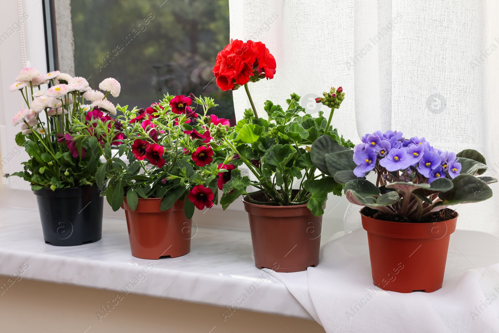 Photo of Different beautiful potted flowers on windowsill indoors