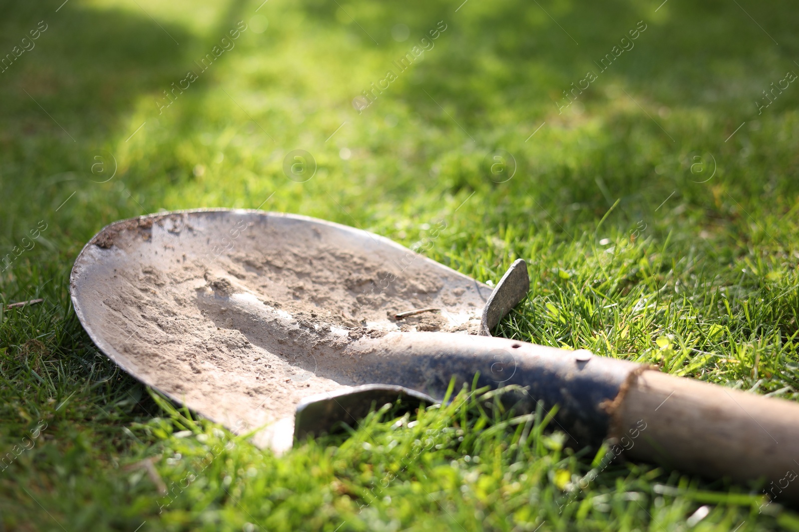 Photo of One dirty shovel on green grass outdoors, closeup