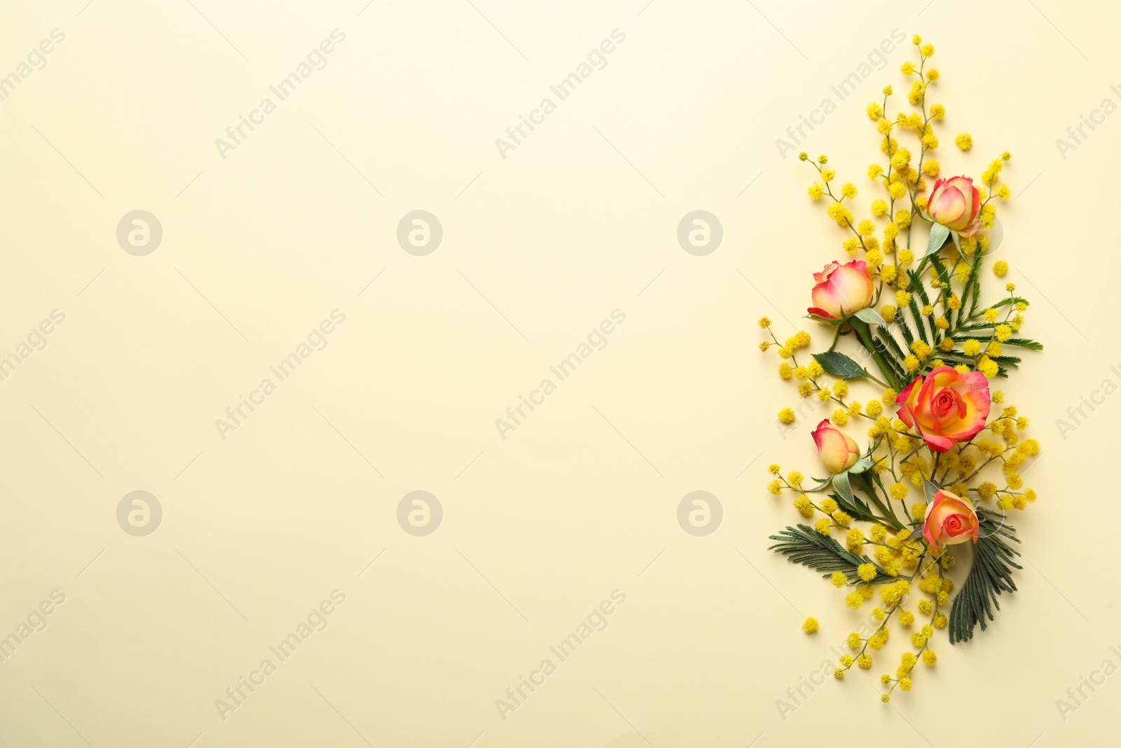 Photo of Beautiful floral composition with mimosa flowers on beige background, flat lay. Space for text