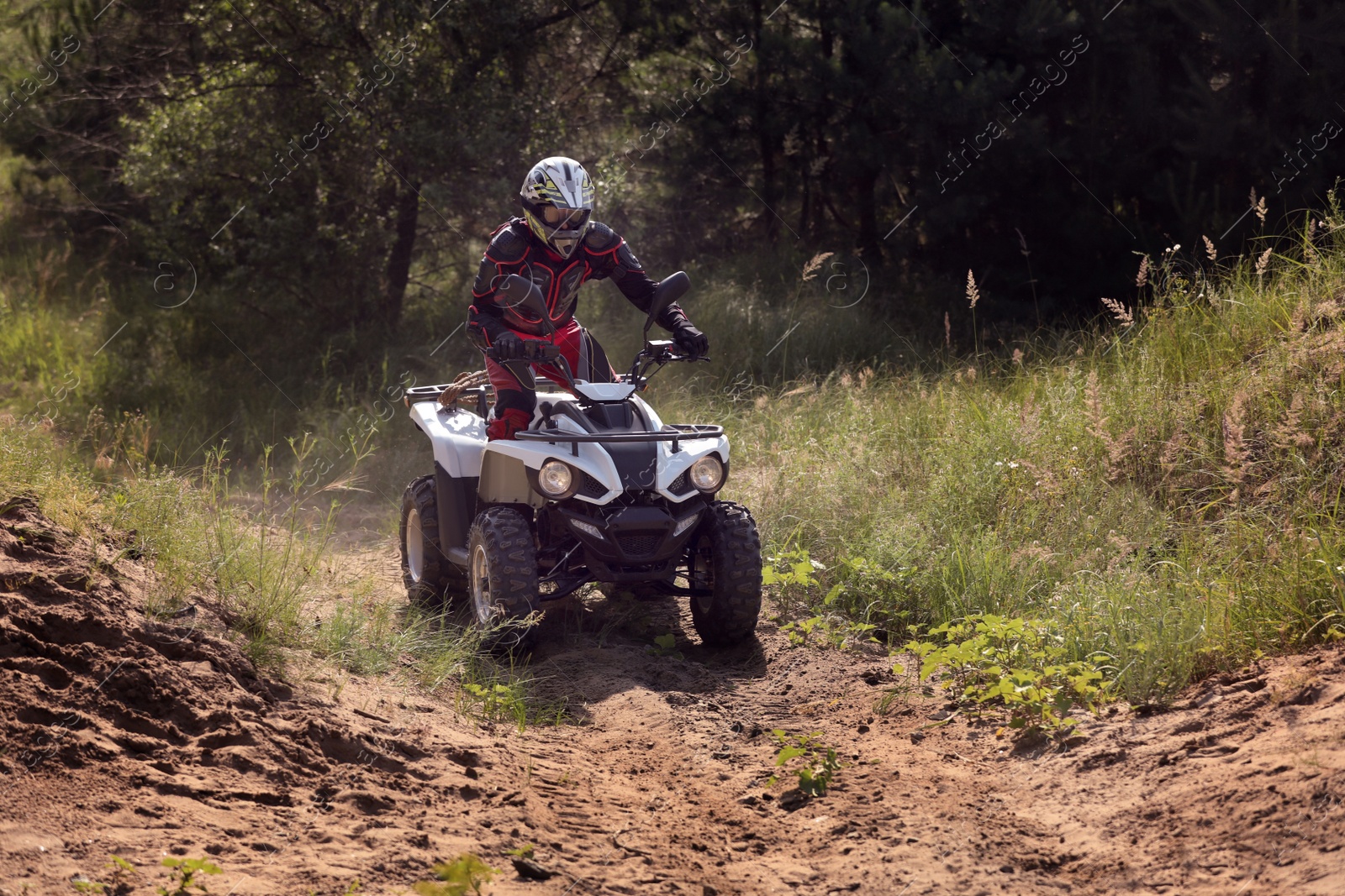 Photo of Man driving modern quad bike on sandy road near forest. Extreme sport