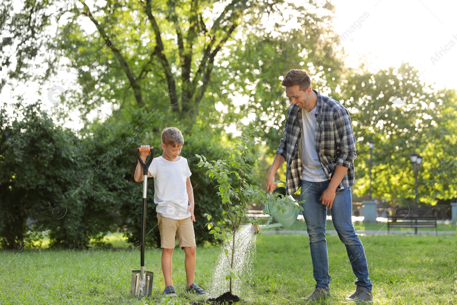 Photo of Dad and son watering tree in park on sunny day