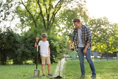 Photo of Dad and son watering tree in park on sunny day