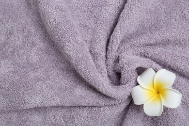 Photo of Plumeria flower on violet terry towel, top view. Space for text