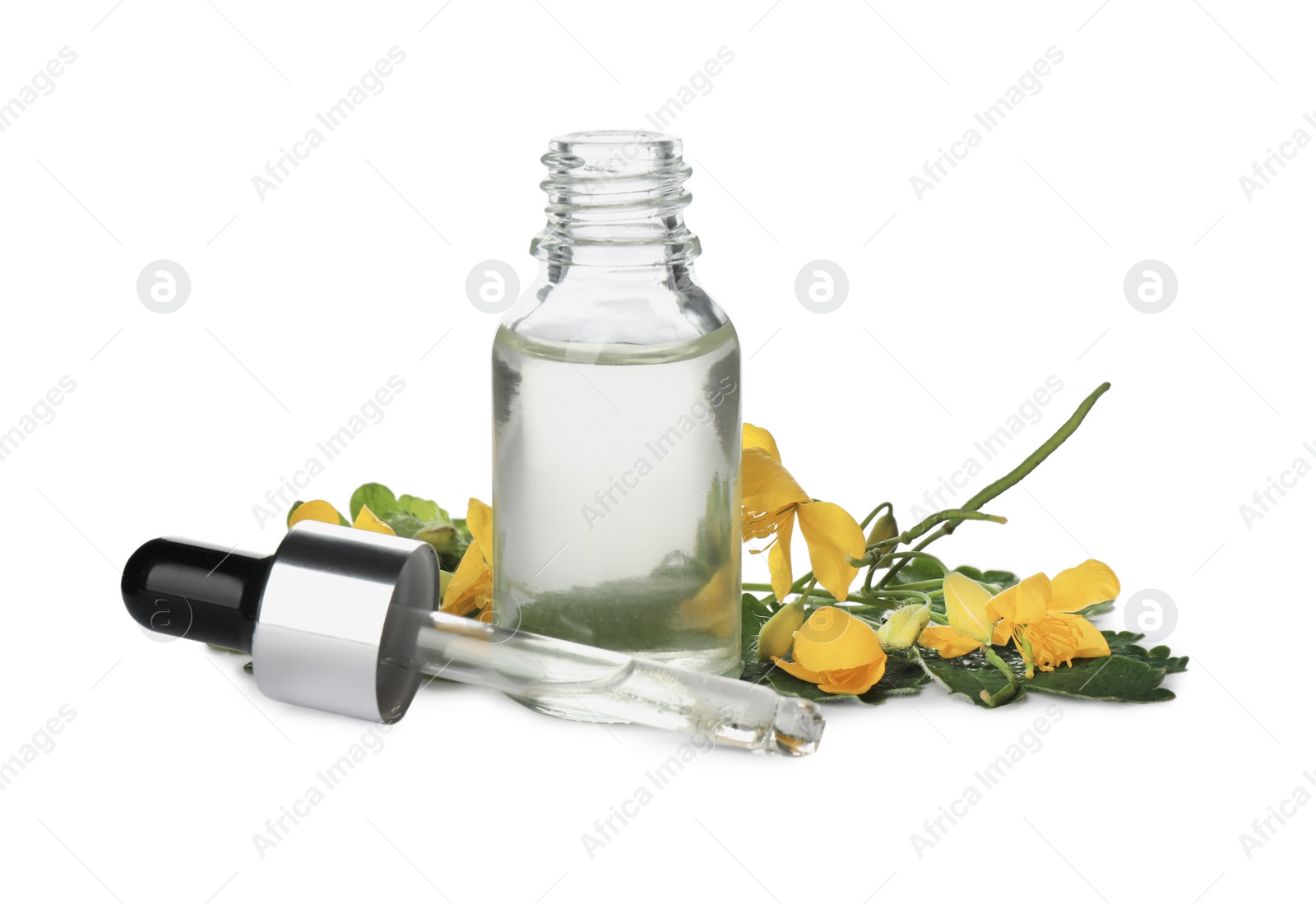 Photo of Bottle of essential oil, pipette and celandine on white background