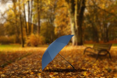 Autumn atmosphere. Dark blue umbrella left by someone in beautiful park. Golden autumn leaves covering ground