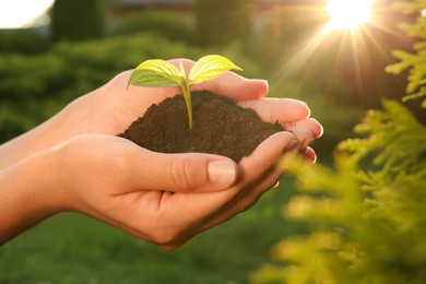 Photo of Woman holding soil with seedling outdoors, closeup. Planting tree