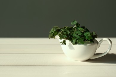 Photo of Beautiful green clover leaves in gravy boat on white wooden table. Space for text
