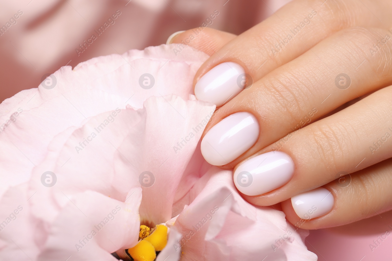 Photo of Woman with white nail polish touching eustoma flower, closeup