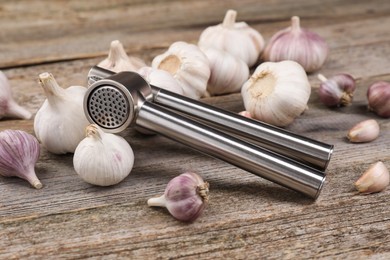 Garlic press and bulbs on wooden table. Kitchen utensil