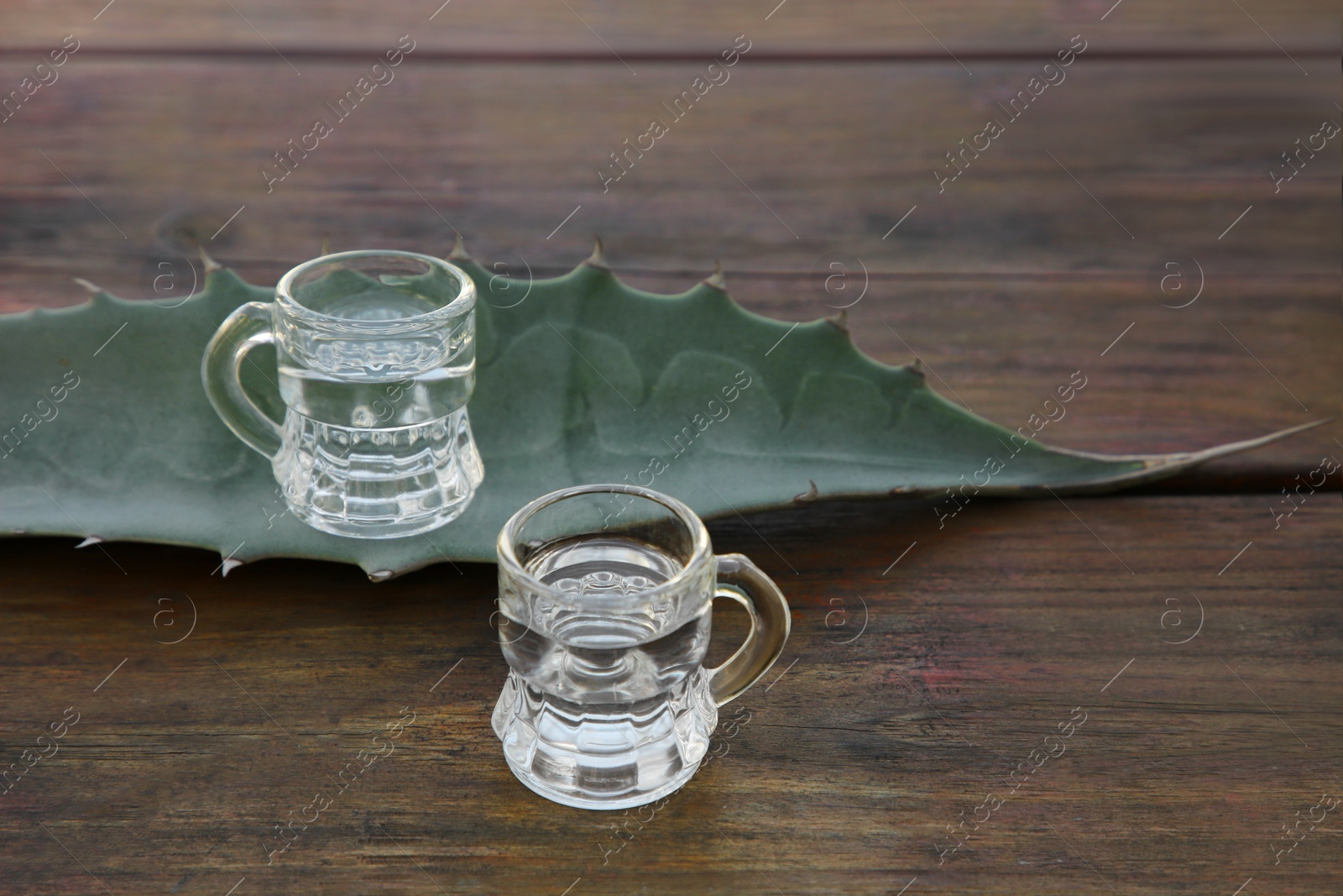 Photo of Mexican tequila shots and green leaf on wooden table. Drink made of agava