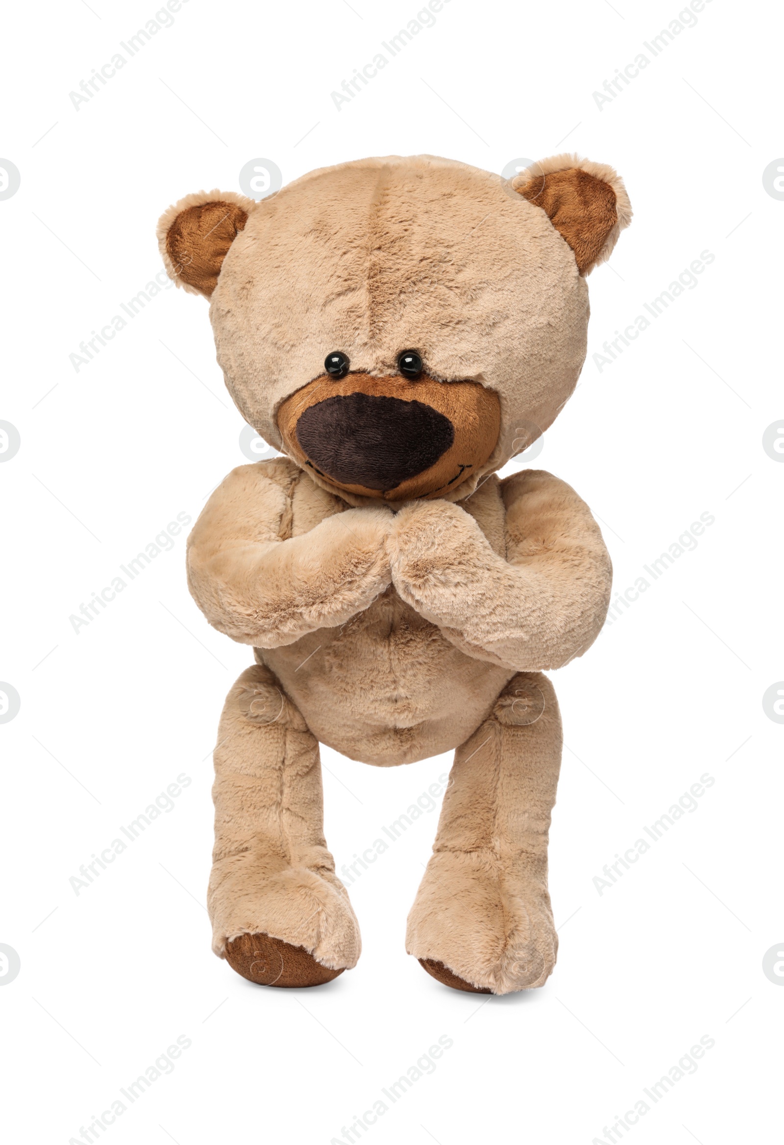 Photo of Cute teddy bear isolated on white. Child`s toy