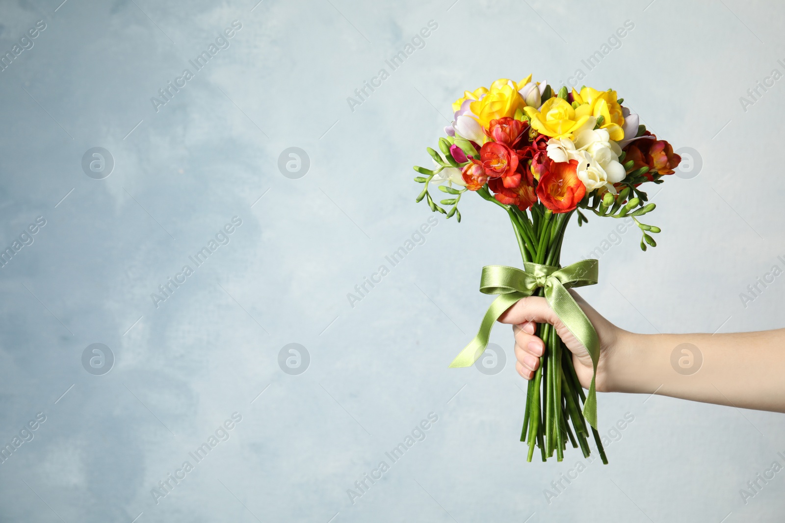 Photo of Woman holding bouquet of beautiful spring freesia flowers on color background. Space for text