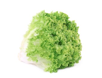 Fresh lettuce isolated on white. Salad greens