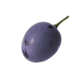 Photo of One ripe dark blue grape isolated on white