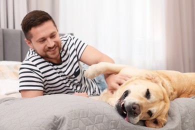 Photo of Man with adorable Labrador Retriever dog on bed at home. Lovely pet