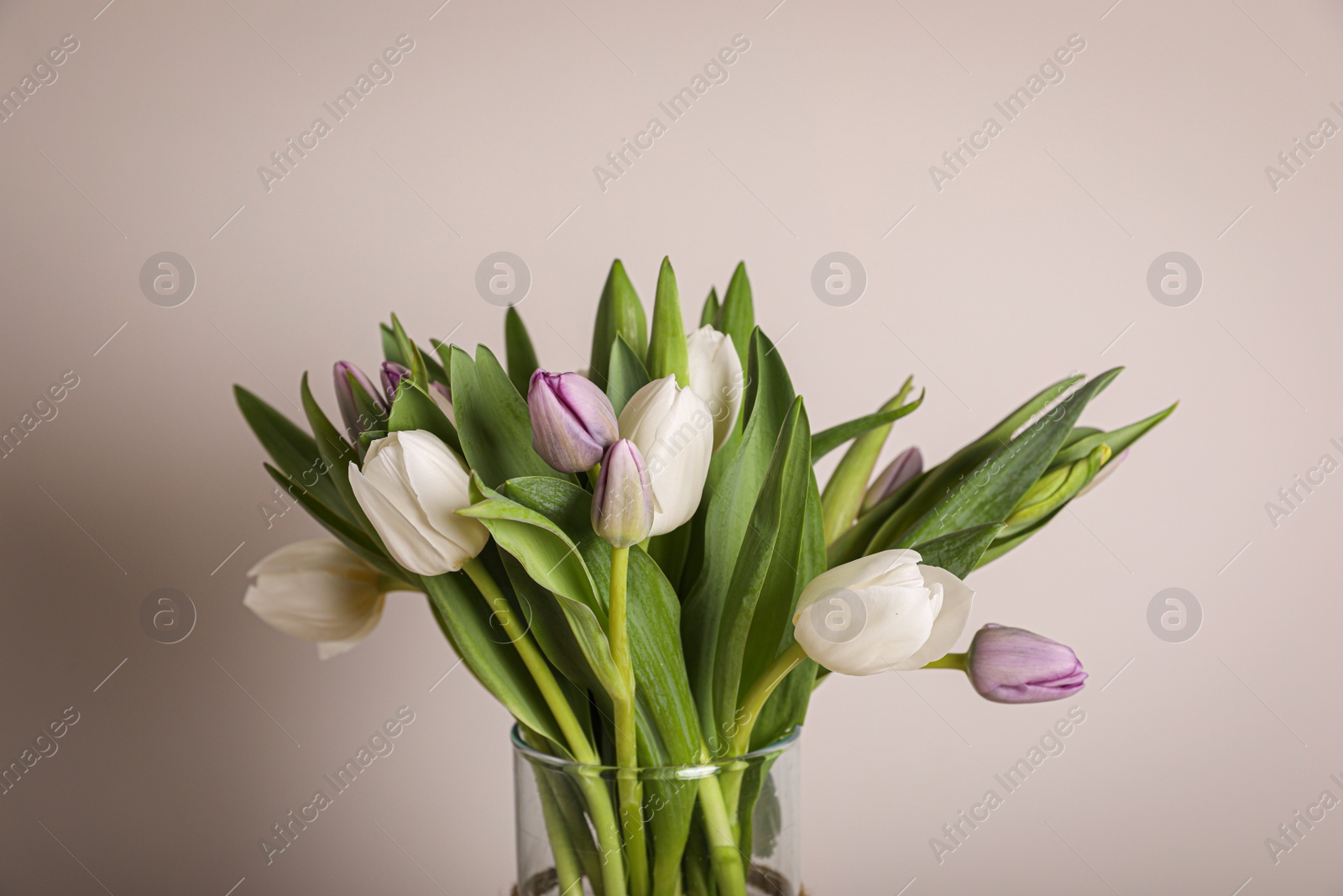 Photo of Beautiful bouquet of colorful tulips in glass vase on beige background